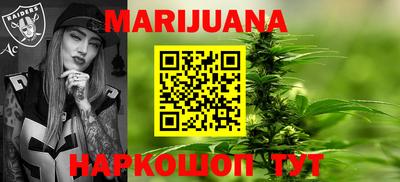 шишки Лесосибирск