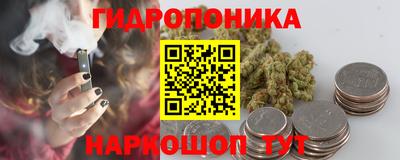 шишки Лесосибирск