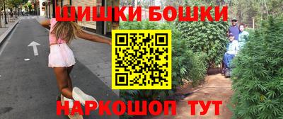 шишки Лесосибирск