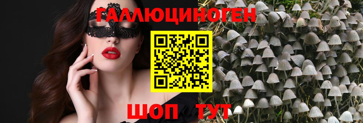 Галлюциногенные грибы мицелий  Вход с VPN  Таганрог  Псилоцибиновые грибы MAGIC MUSHROOMS 